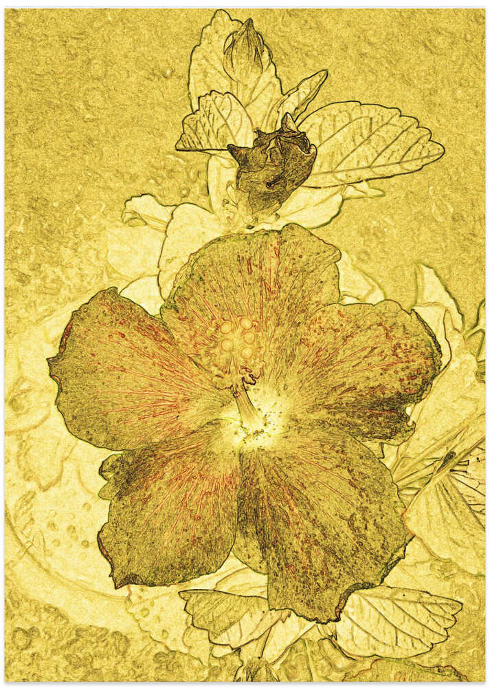 Golden Blossom Essence