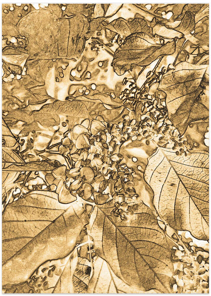 Golden Foliage Dream