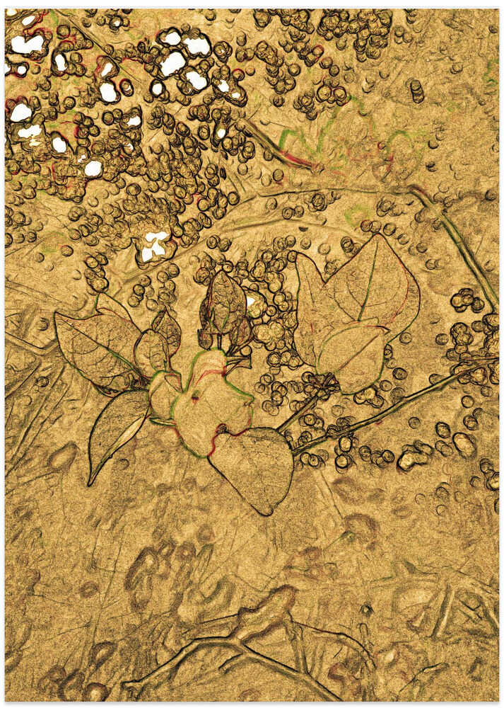 Golden Blossom Dance