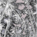 Monochrome Palms