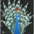 Cute Peacock with Jungle Doodle by Artist Carla Daly