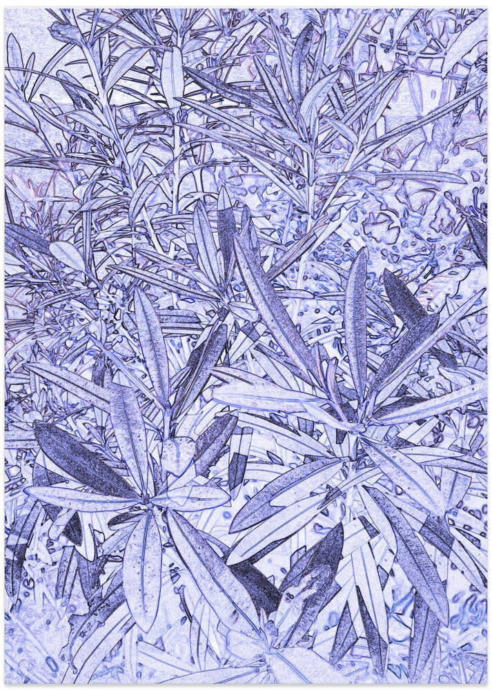 Blue Botanical Dream