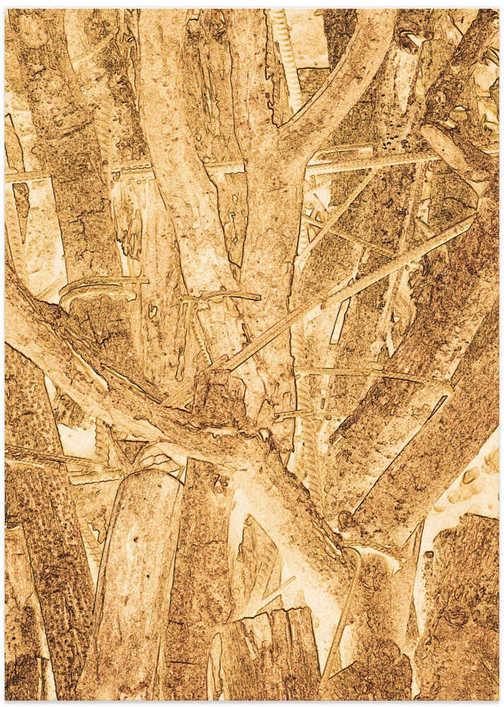 Rustic Timber Textures