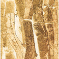 Golden Bark Texture