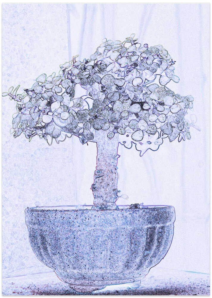 Mystical Bonsai Glow