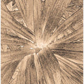 Sepia Leaf Burst