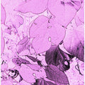 Pink Leaf Dreamscape
