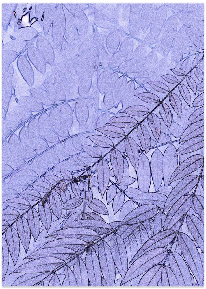 Purple Leaf Veil