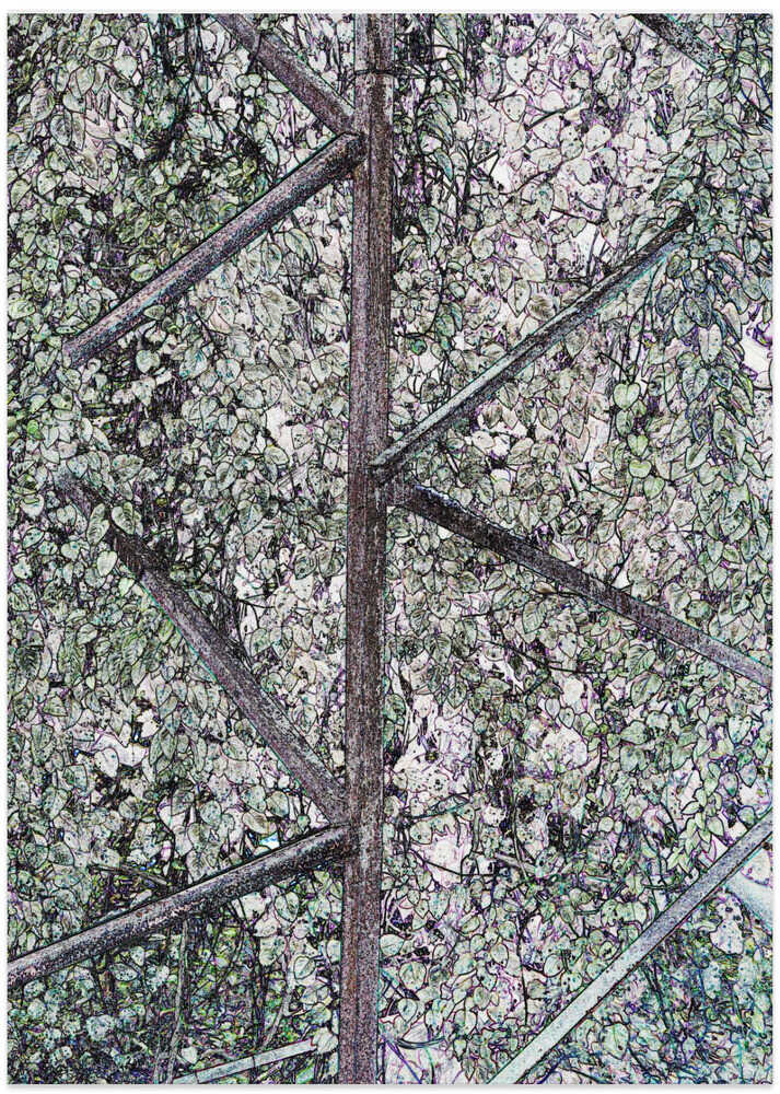 Leafy Lattice Pathway