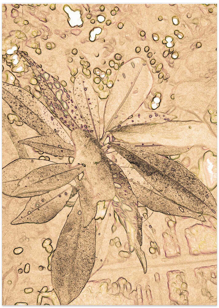 Botanical Dreamscape