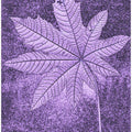 Violet Leaf Imprint