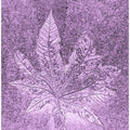 Purple Leaf Imprint