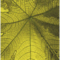 Golden Leaf Veins