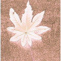 Faded Leaf Imprint