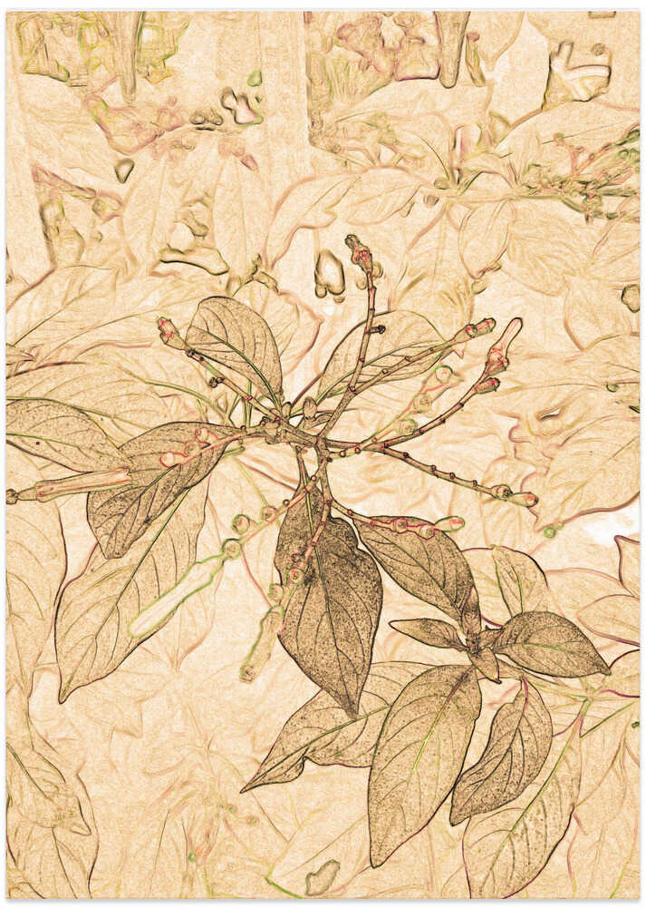 Delicate Flora Lines