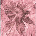 Pink Leaf Impressions