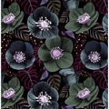 Dark Purple Flowers 2
