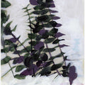 Eucalyptus Painting 2