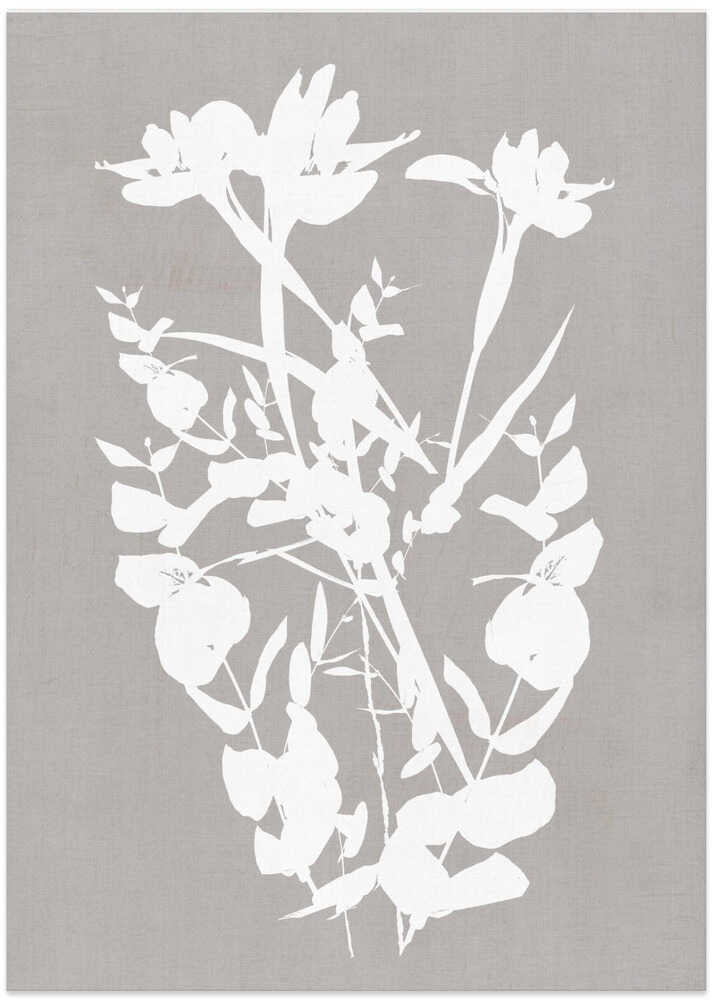 Botanical Illustration 1