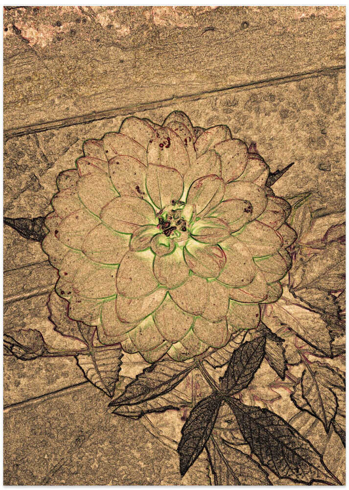 Golden Blossom Sketch