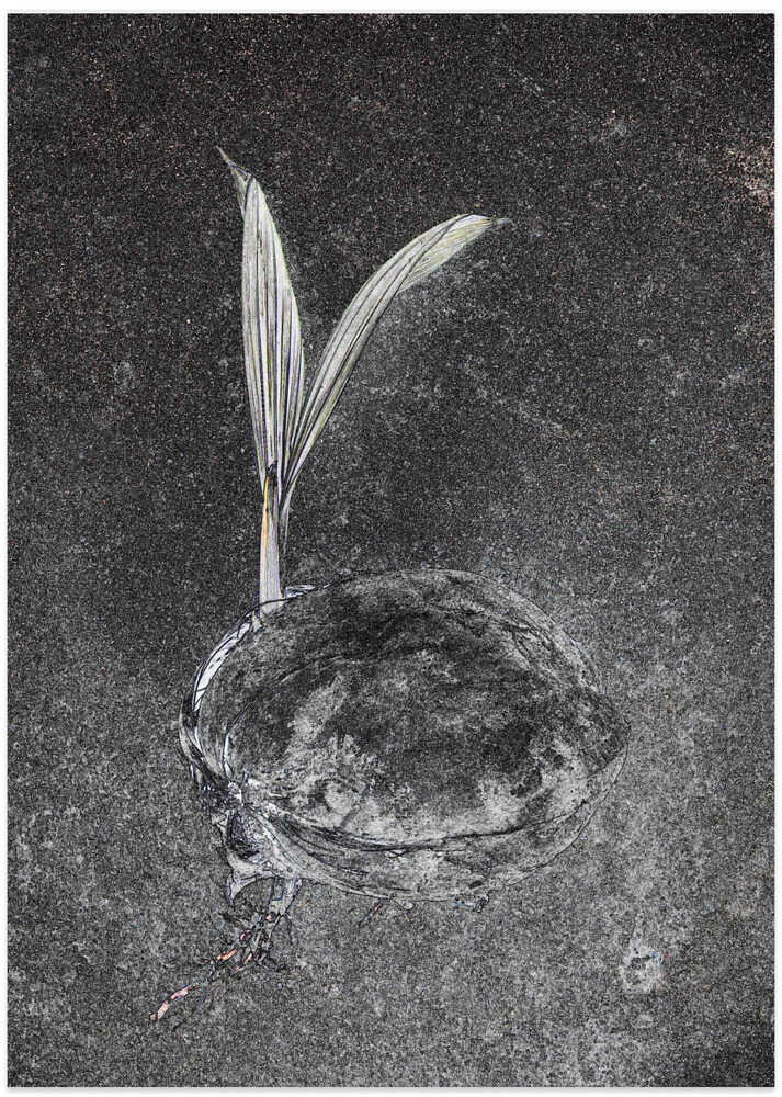 Sprouting Resilience