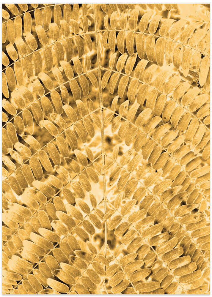 Golden Fern Pattern