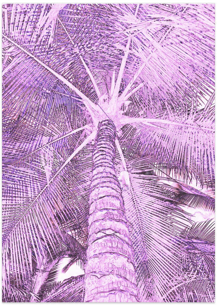 Violet Palm View