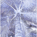 Blue Palm Canopy