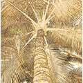 Golden Palm Canopy