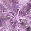 Purple Palm Perspective