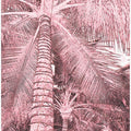 Blush Palms