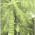 Tropical Canopy