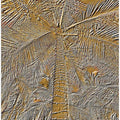 Golden Palm Texture