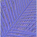 Violet Frond Lines