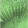 Verdant Palm Lines
