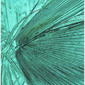 Turquoise Fronds