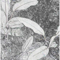 Monochrome Foliage