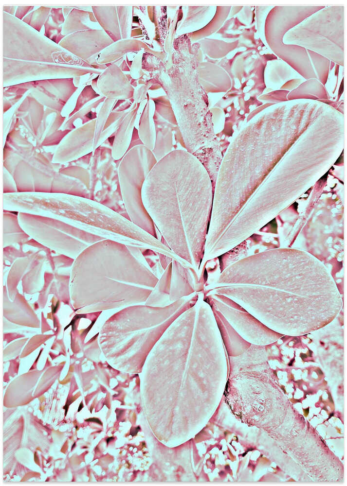 Pastel Leaf Dream