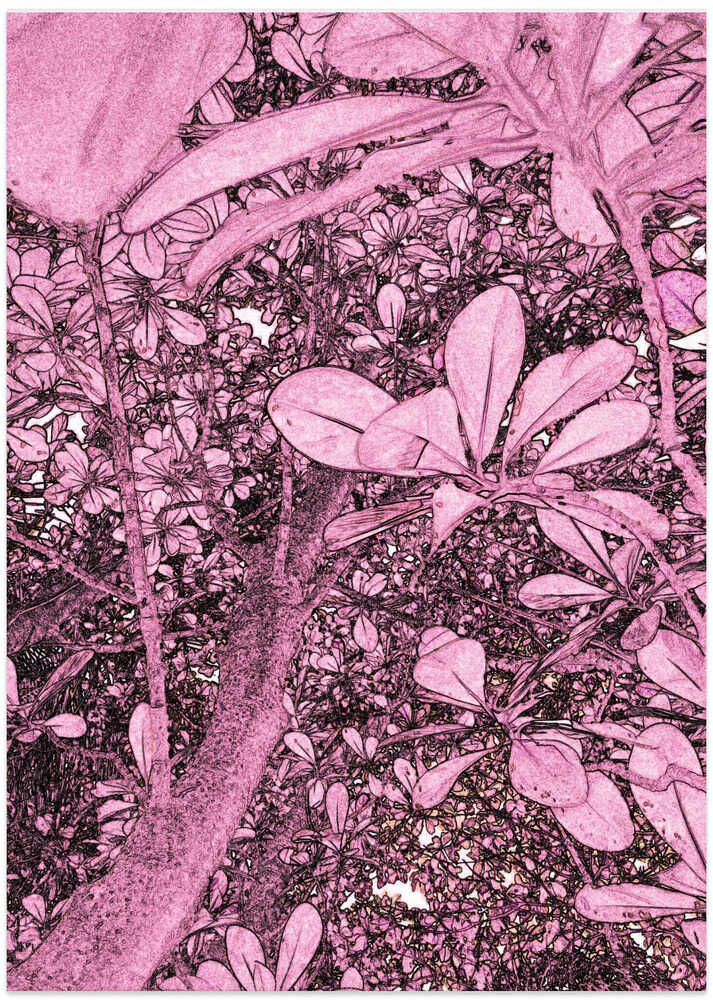 Pink Leaf Canopy