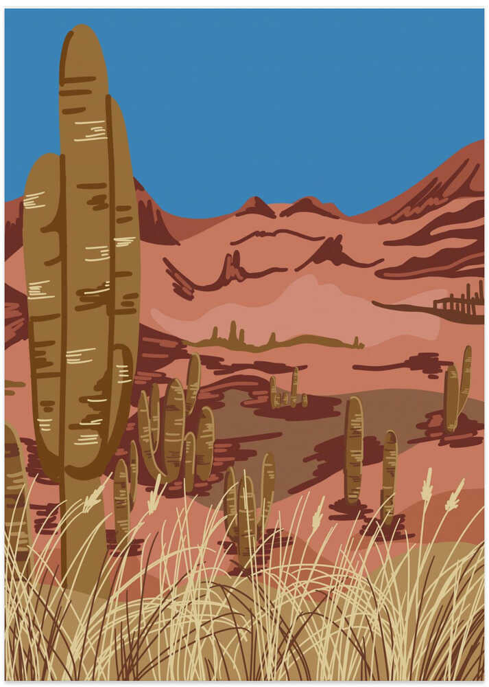 Cactus desert