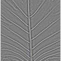 Leaf Vein Matrix