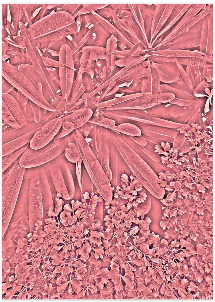 Blush Botanical Dream