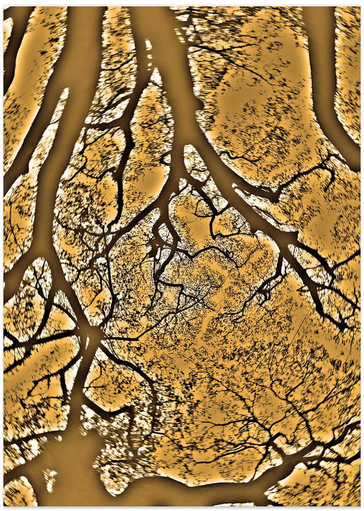 Golden Branches Maze