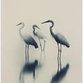 Ethereal Egrets