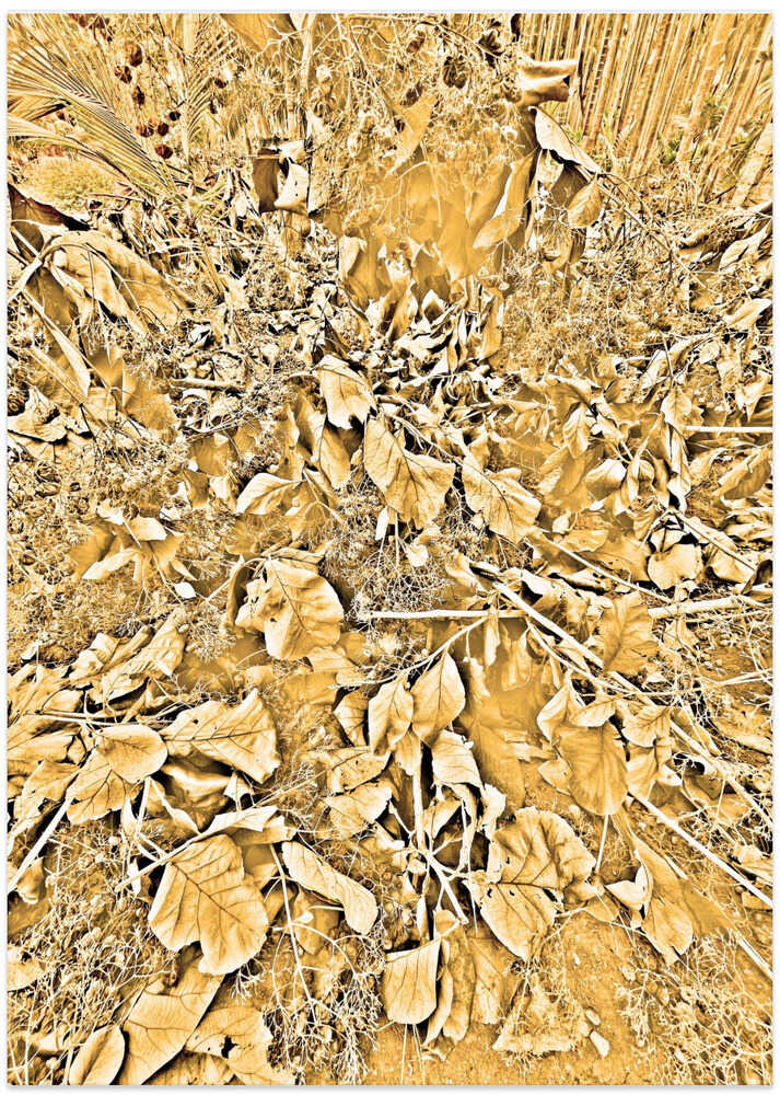 Golden Foliage Burst