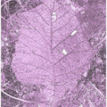 Purple Leaf Mosaic