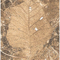 Earthy Leaf Imprint