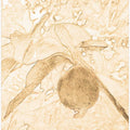 Sepia Fruit Elegance