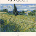 Green Wheat Field With Cypress (1889) Van Gogh
