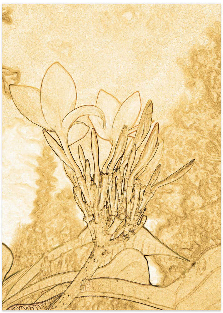 Golden Blossom Essence